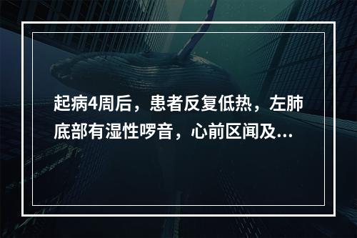 起病4周后，患者反复低热，左肺底部有湿性啰音，心前区闻及心包