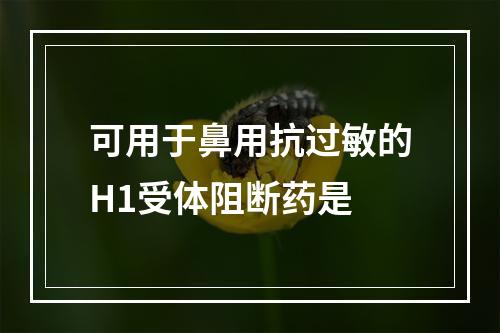 可用于鼻用抗过敏的H1受体阻断药是