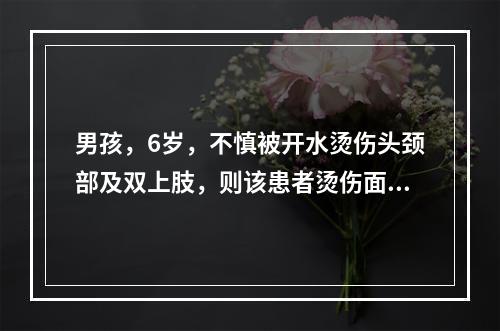 男孩，6岁，不慎被开水烫伤头颈部及双上肢，则该患者烫伤面积为