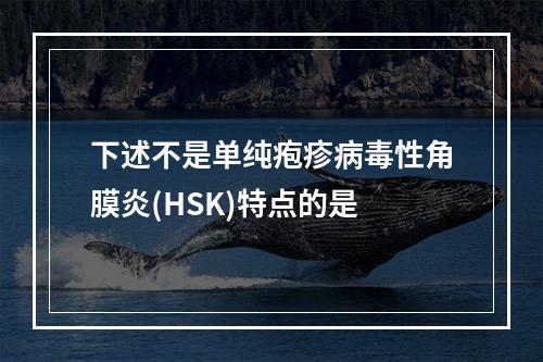 下述不是单纯疱疹病毒性角膜炎(HSK)特点的是