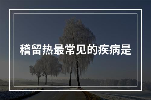 稽留热最常见的疾病是