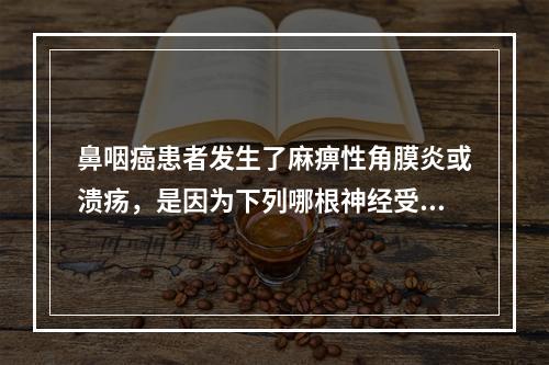 鼻咽癌患者发生了麻痹性角膜炎或溃疡，是因为下列哪根神经受损(