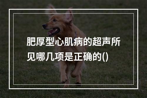 肥厚型心肌病的超声所见哪几项是正确的()