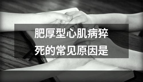 肥厚型心肌病猝死的常见原因是