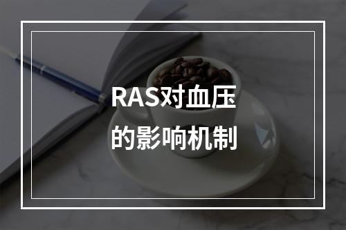 RAS对血压的影响机制