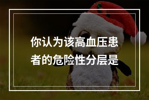 你认为该高血压患者的危险性分层是