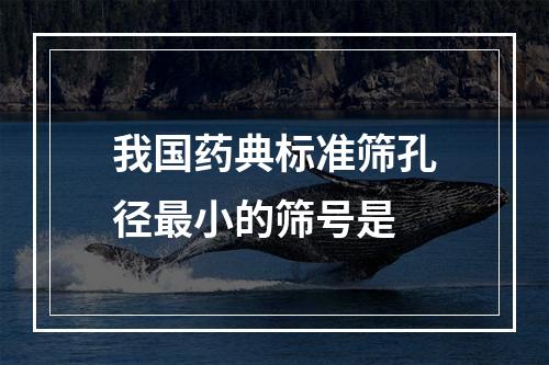 我国药典标准筛孔径最小的筛号是