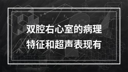 双腔右心室的病理特征和超声表现有