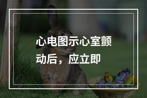 心电图示心室颤动后，应立即