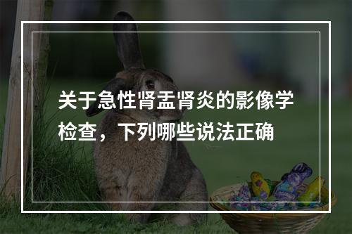 关于急性肾盂肾炎的影像学检查，下列哪些说法正确