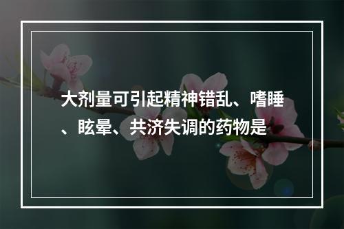 大剂量可引起精神错乱、嗜睡、眩晕、共济失调的药物是