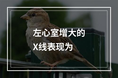 左心室增大的X线表现为