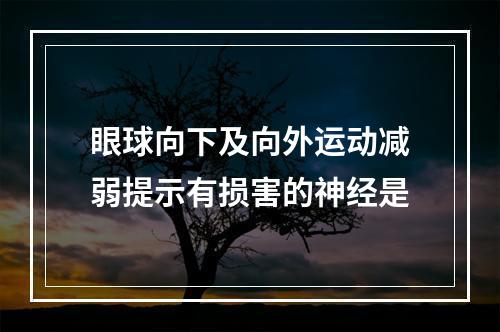 眼球向下及向外运动减弱提示有损害的神经是