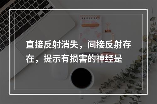 直接反射消失，间接反射存在，提示有损害的神经是