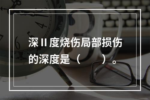 深Ⅱ度烧伤局部损伤的深度是（　　）。