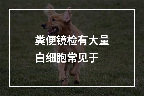 粪便镜检有大量白细胞常见于