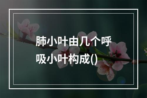 肺小叶由几个呼吸小叶构成()