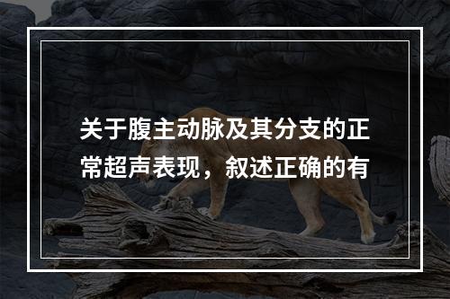 关于腹主动脉及其分支的正常超声表现，叙述正确的有