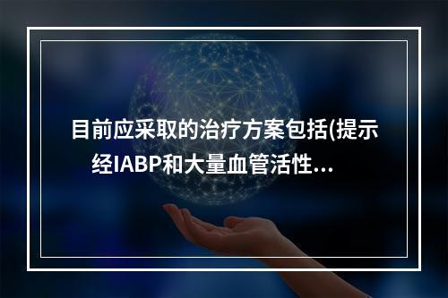 目前应采取的治疗方案包括(提示　经IABP和大量血管活性药物