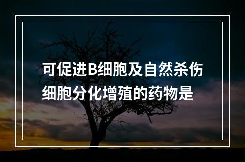 可促进B细胞及自然杀伤细胞分化增殖的药物是