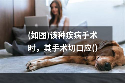 (如图)该种疾病手术时，其手术切口应()