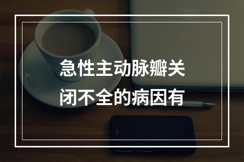 急性主动脉瓣关闭不全的病因有