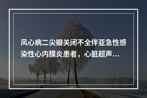 风心病二尖瓣关闭不全伴亚急性感染性心内膜炎患者，心脏超声检查