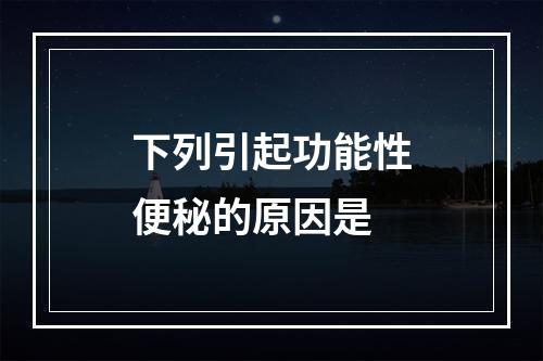 下列引起功能性便秘的原因是