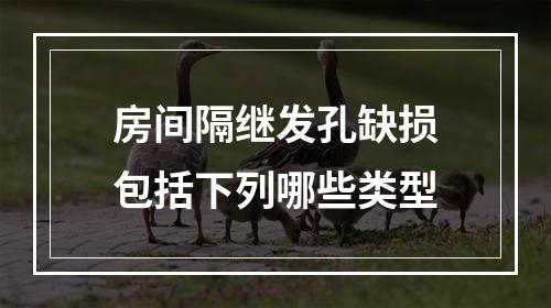 房间隔继发孔缺损包括下列哪些类型