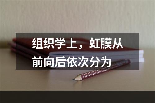 组织学上，虹膜从前向后依次分为