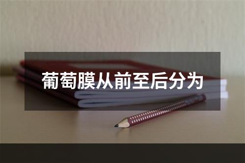 葡萄膜从前至后分为