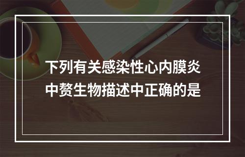 下列有关感染性心内膜炎中赘生物描述中正确的是