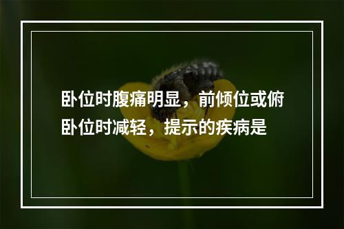 卧位时腹痛明显，前倾位或俯卧位时减轻，提示的疾病是