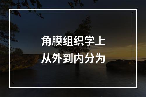 角膜组织学上从外到内分为