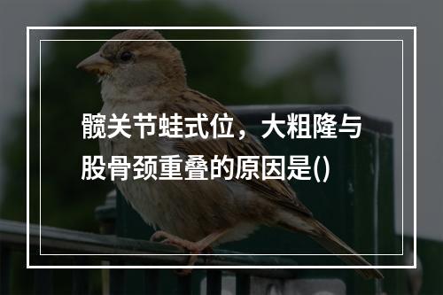 髋关节蛙式位，大粗隆与股骨颈重叠的原因是()