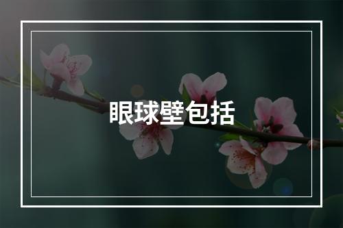 眼球壁包括