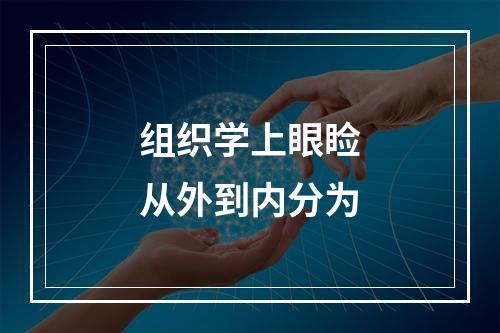 组织学上眼睑从外到内分为