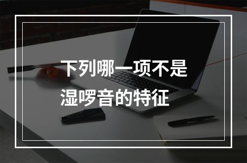 下列哪一项不是湿啰音的特征