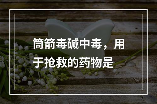 筒箭毒碱中毒，用于抢救的药物是