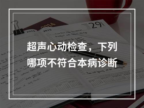 超声心动检查，下列哪项不符合本病诊断