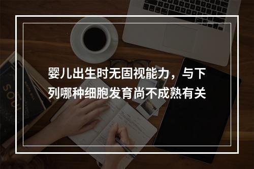 婴儿出生时无固视能力，与下列哪种细胞发育尚不成熟有关