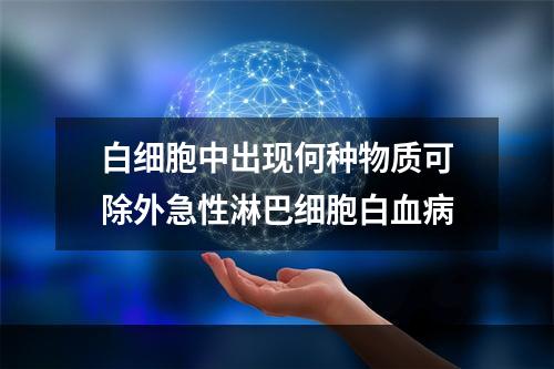 白细胞中出现何种物质可除外急性淋巴细胞白血病