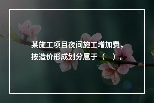 某施工项目夜间施工增加费，按造价形成划分属于（　）。