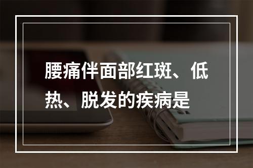 腰痛伴面部红斑、低热、脱发的疾病是