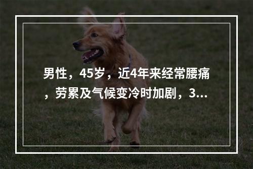 男性，45岁，近4年来经常腰痛，劳累及气候变冷时加剧，3天前