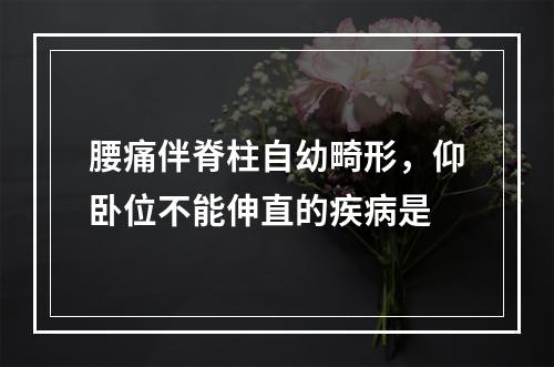 腰痛伴脊柱自幼畸形，仰卧位不能伸直的疾病是