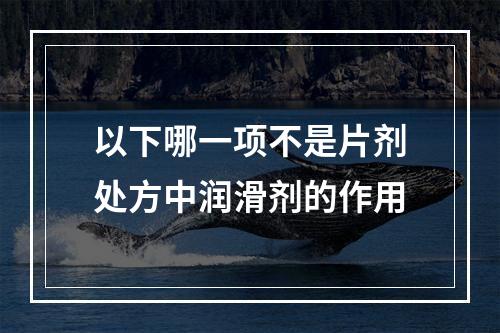 以下哪一项不是片剂处方中润滑剂的作用