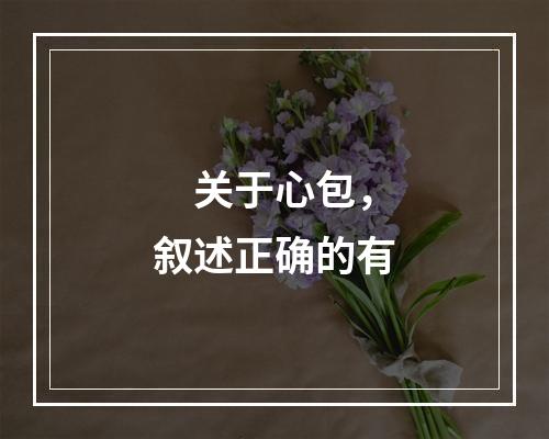 　关于心包，叙述正确的有