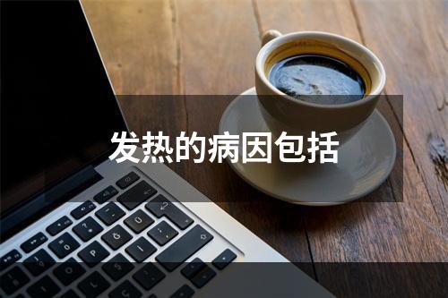 发热的病因包括