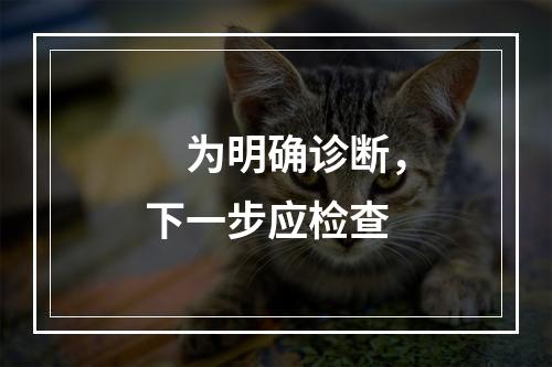 　为明确诊断，下一步应检查